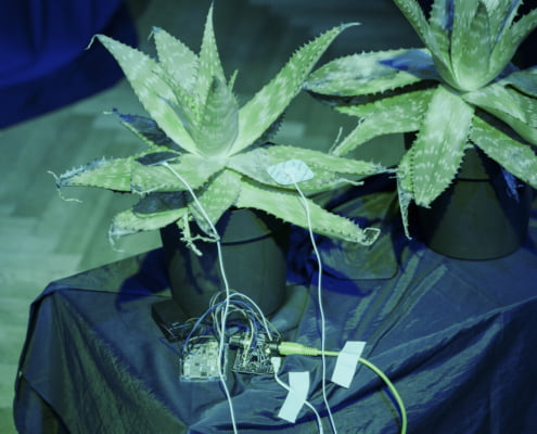 Metamorphisis - Universität der Künste