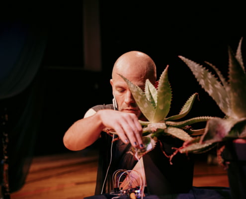 Metamorphisis - Universität der Künste